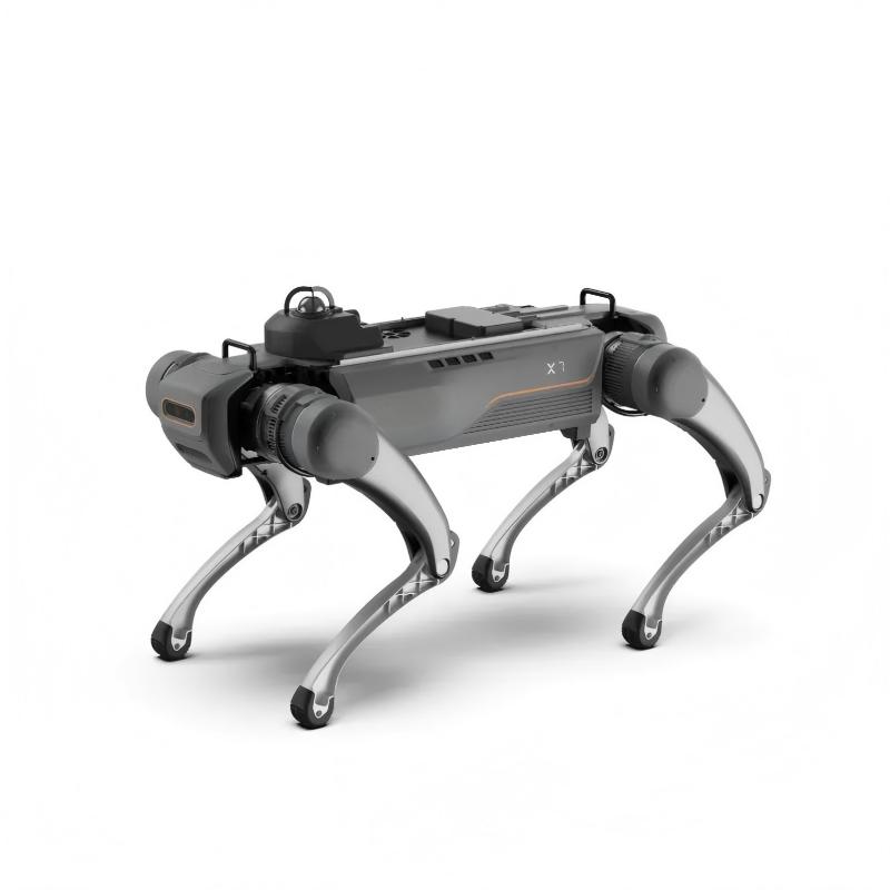 Quadruped Robot Dog