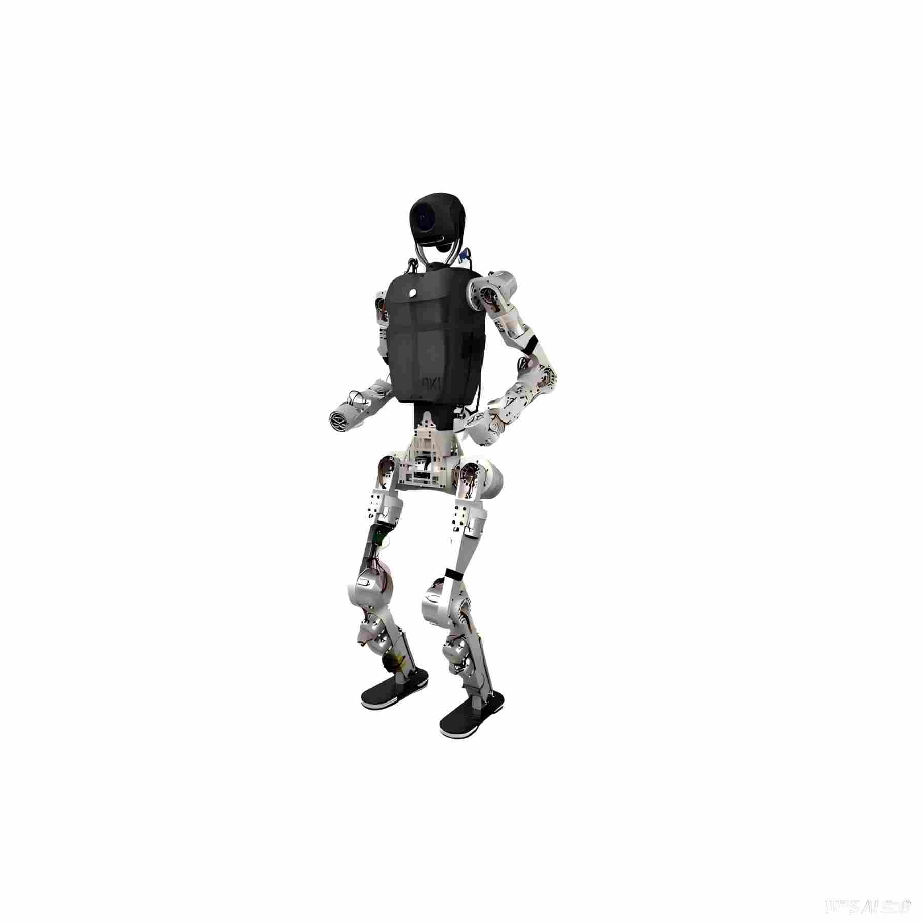 Humanoid Robot